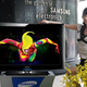 Illustration for article titled Samsung Bordeaux Breaks Contrast Ratio Record